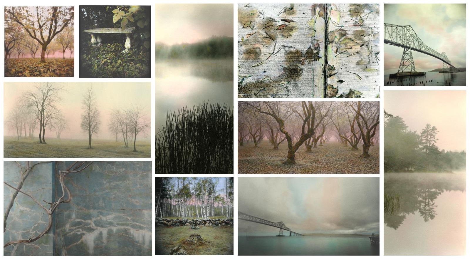 Collage of Donna Lee Rollins' photographic works