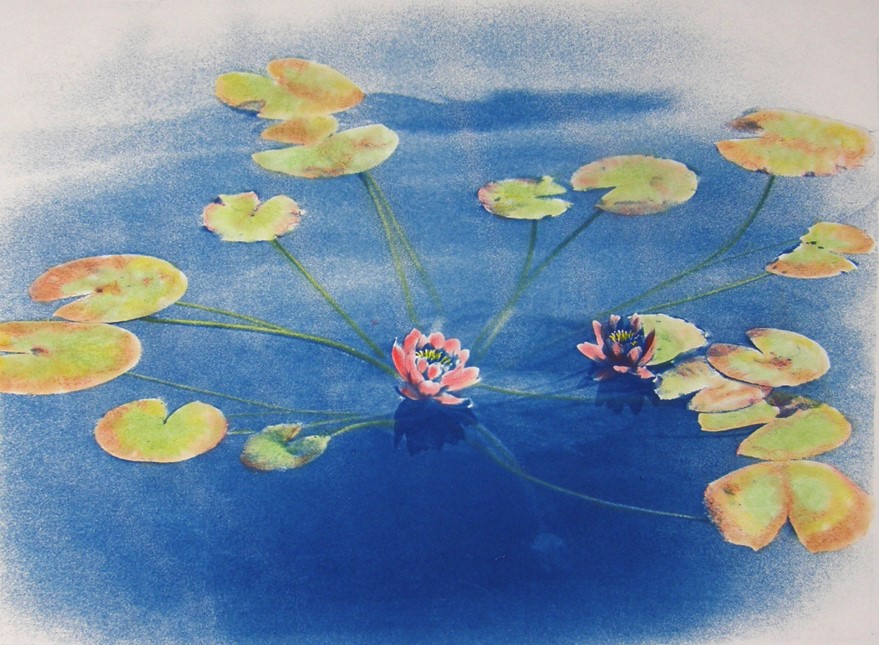 Cyano Lily 1A