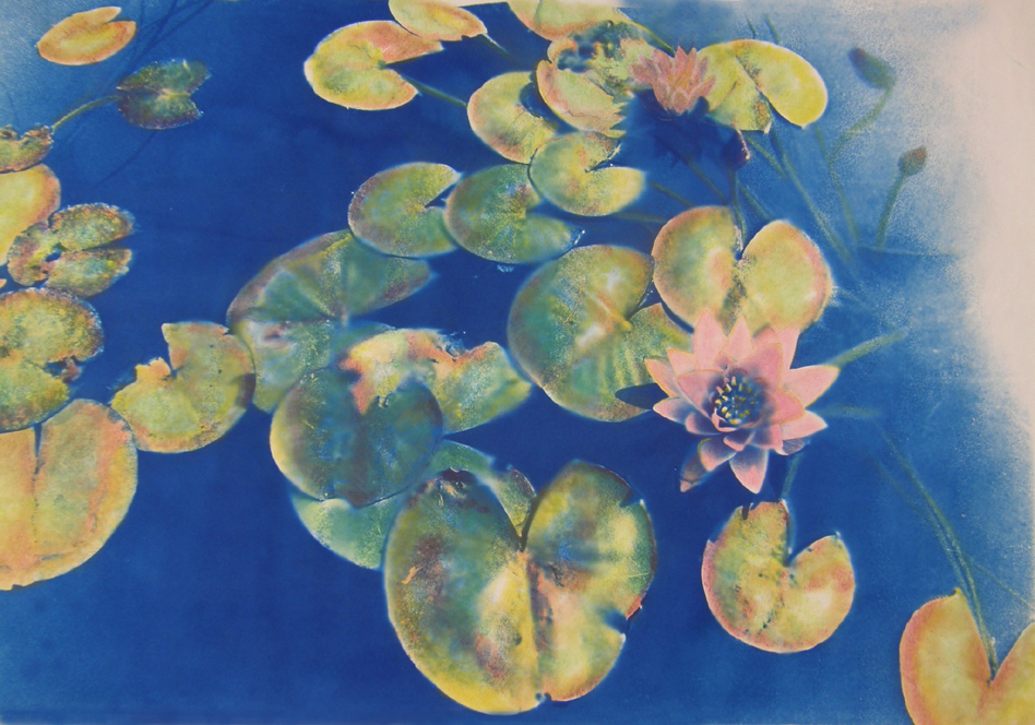 Cyano Lily 2
