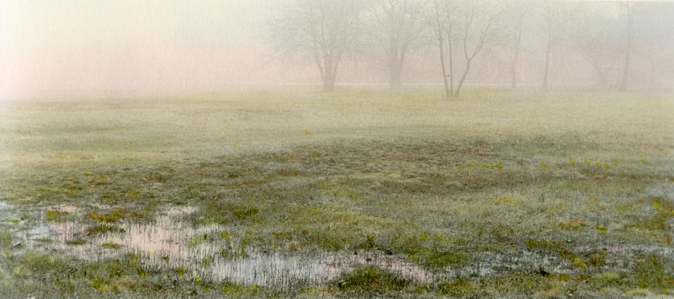FOGScape