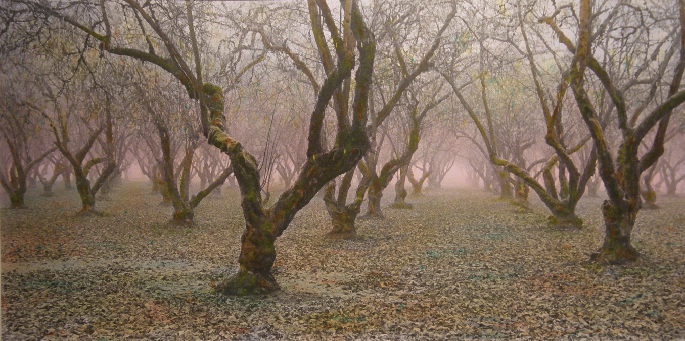 Oregon Nut Grove #20