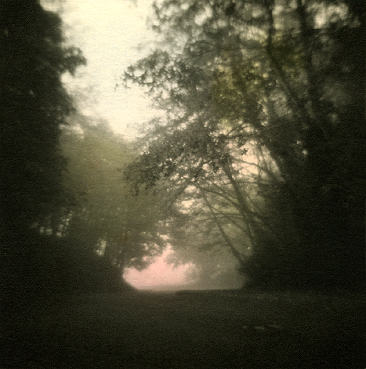 FOGGY Lane